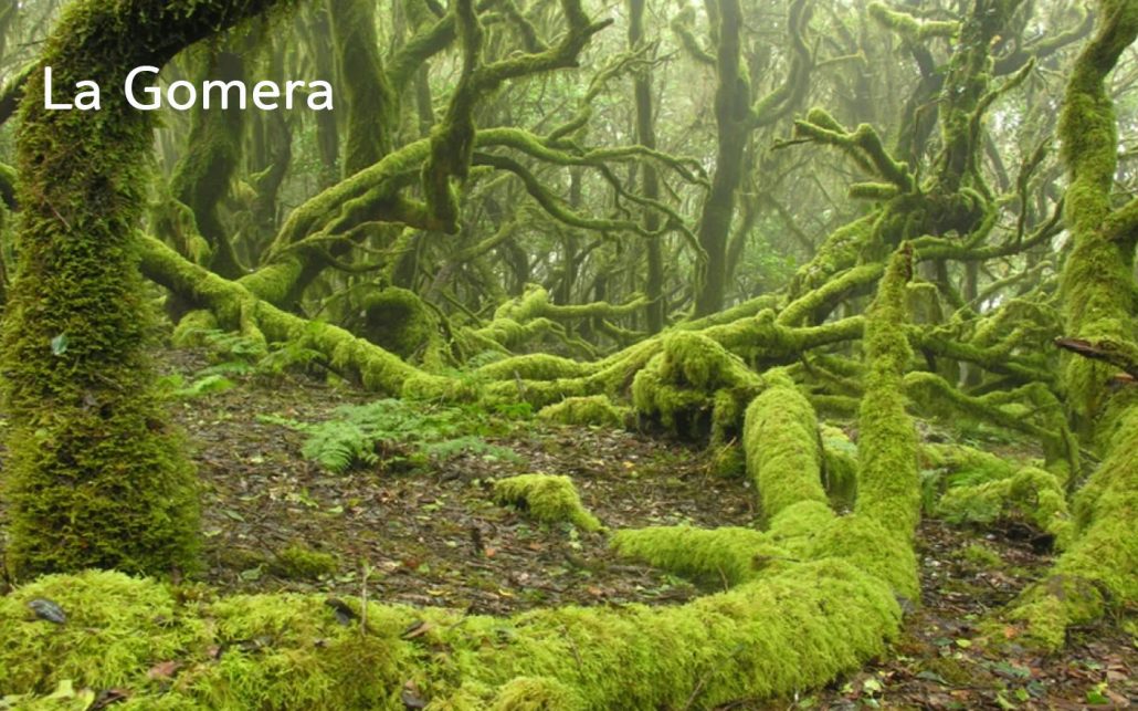 LA GOMERA