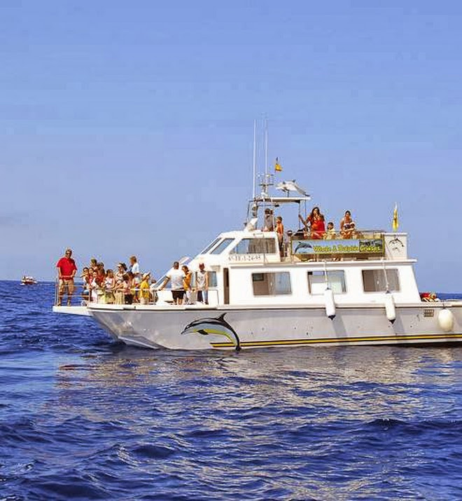 Barcos Los Gigantes Barcos Los Gigantes