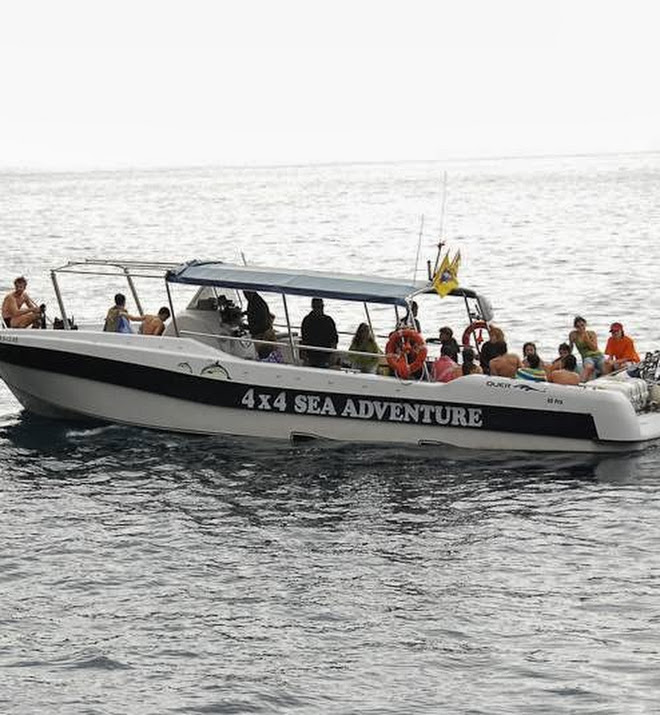 Barcos Los Gigantes Barcos Los Gigantes