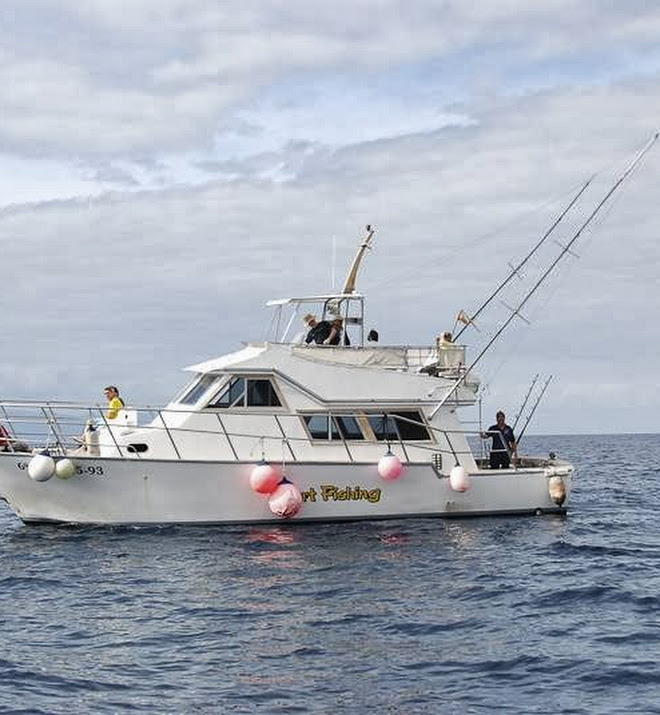 Barcos Los Gigantes Barcos Los Gigantes