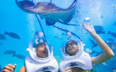 Diving on the moon- Seatrek Tenerife